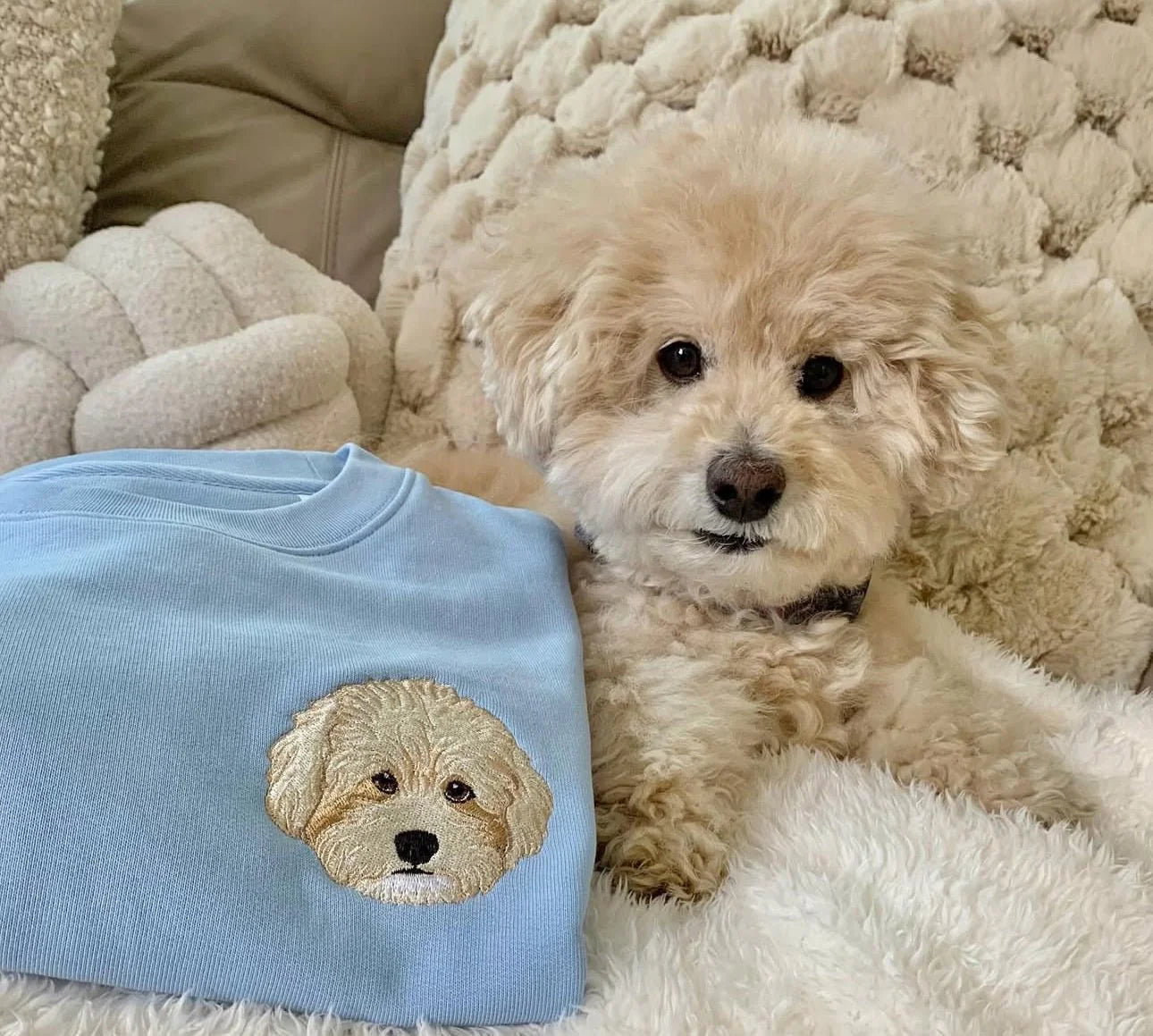 Sweat Personnalisé avec Portrait Brodé de Votre Animal – Broderie Côté